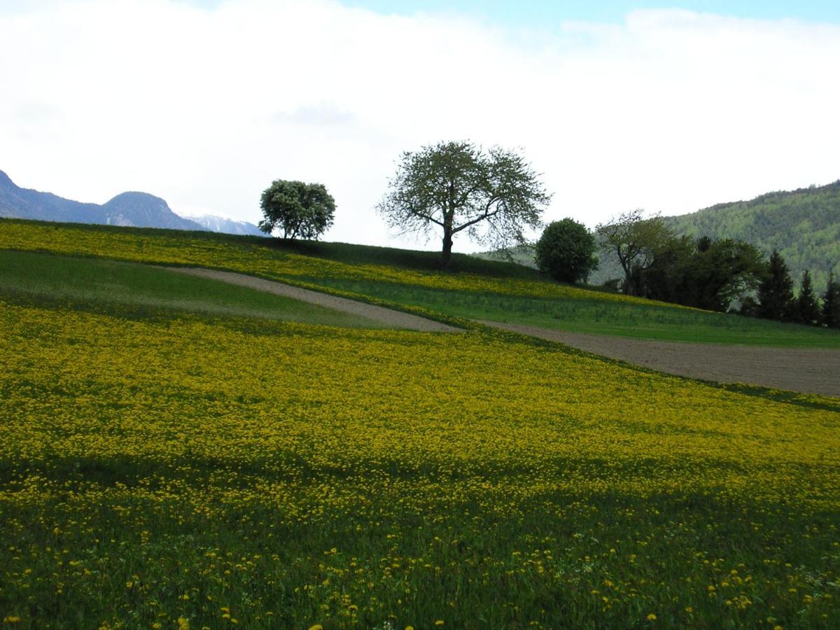 Zangerlechnhof Daire Brunico Dış mekan fotoğraf